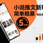 小说推文爆款实操：5分钟学会简单粗暴的新玩法全流程-微七七网-是一个专注于全域获客|流量矩阵化打法的团队！