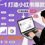 从零起步打造小红书爆款IP的终极指南：避开弯路，手把手教学-微七七网-是一个专注于全域获客|流量矩阵化打法的团队！