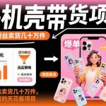 揭秘手机壳带货爆款：短视频低粉变现天花板，几千粉丝狂卖几十万件实操项目-微七七网-是一个专注于全域获客|流量矩阵化打法的团队！