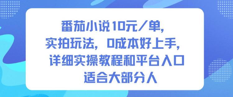 番茄小说实拍玩法全解析：0成本轻松赚取10米每单，详细实操教程与平台入口一键上手！-微七七网-是一个专注于全域获客|流量矩阵化打法的团队！