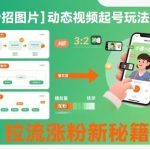 动态视频起号实战教学：小妙招图片助力拉流涨粉新秘籍全解析-微七七网-是一个专注于全域获客|流量矩阵化打法的团队！