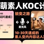 素人KOC速成指南：10-30天变身内容达人，短剧小说推文电商实战课招募中-微七七网-是一个专注于全域获客|流量矩阵化打法的团队！