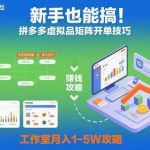 拼多多虚拟品矩阵开单秘诀全揭秘：零基础新手实战指南，工作室轻松月入1-5W攻略-微七七网-是一个专注于全域获客|流量矩阵化打法的团队！