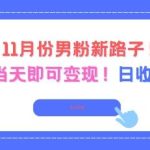 11月男粉变现新路径：起号当天即可赚钱，日收益400+全攻略！-微七七网-是一个专注于全域获客|流量矩阵化打法的团队！