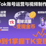 2025年TikTok从0到1实战指南：账号运营、视频制作与最新搬运技术，带你快速实现TK变现-微七七网-是一个专注于全域获客|流量矩阵化打法的团队！