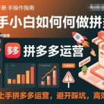 拼多多新手运营全攻略：快速起店避坑指南，高效上手秘籍-微七七网-是一个专注于全域获客|流量矩阵化打法的团队！