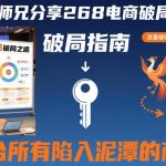 贾真师兄亲授：268招电商破局之道终极指南，专为所有陷入泥潭商家量身打造突围策略-微七七网-是一个专注于全域获客|流量矩阵化打法的团队！