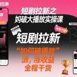小红书短剧拉新破播放实操课：揭秘暴涨收益全攻略，全程干货技巧解析！-微七七网-是一个专注于全域获客|流量矩阵化打法的团队！