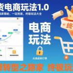 独家揭秘不备货电商无货源转型终极玩法：一站到底完整指南大全-微七七网-是一个专注于全域获客|流量矩阵化打法的团队！