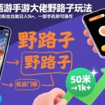 梦幻西游手游独家赚钱方案：单人单机日赚1000+，零门槛手机操作内部方案首曝-微七七网-是一个专注于全域获客|流量矩阵化打法的团队！