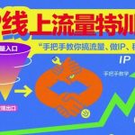 IP流量变现特训营：线上手把手教你搞流量、打造个人IP、实现稳定收入-微七七网-是一个专注于全域获客|流量矩阵化打法的团队！