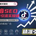 抖音搜索蓝海实战课：揭秘SEO精准引流秘诀，快速布局你的广告转化阵地-微七七网-是一个专注于全域获客|流量矩阵化打法的团队！