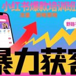 小红书获客实战班：爆款引流捷径揭秘，实现持续高效流量增长-微七七网-是一个专注于全域获客|流量矩阵化打法的团队！