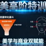 医美高阶特训营：美学设计与商业运营双体系，实现0-1000万业绩增长实战课-微七七网-是一个专注于全域获客|流量矩阵化打法的团队！