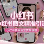 小红书图文精准引流全攻略：实战运营变现课程，手把手教你快速赚钱-微七七网-是一个专注于全域获客|流量矩阵化打法的团队！