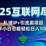 2025私域IP+精准引流终极攻略：零基础小白在家实现日赚1K，上手即盈利的躺赚模式大揭秘-微七七网-是一个专注于全域获客|流量矩阵化打法的团队！