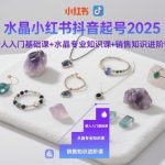2025水晶抖音小红书起号变现：零基础入门到精通系统课，专业知识与销售进阶攻略-微七七网-是一个专注于全域获客|流量矩阵化打法的团队！