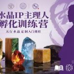 水晶IP主理人孵化实战营：五行水晶定制入门速成指南-微七七网-是一个专注于全域获客|流量矩阵化打法的团队！