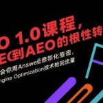 AEO 1.0 终极教程：从SEO到AEO的革命性升级，手把手教你用Answer Engine Optimization技术抢回流量（2024最新实战版）-微七七网-是一个专注于全域获客|流量矩阵化打法的团队！