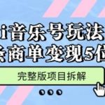 AI音乐号爆金玩法：多平台快速积累几十万粉，一条商单轻松变现5位数，完整项目拆解全攻略-微七七网-是一个专注于全域获客|流量矩阵化打法的团队！