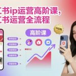 小红书IP运营高阶课全解析：从入门到精通的运营全流程实战指南-微七七网-是一个专注于全域获客|流量矩阵化打法的团队！