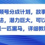 视频号分成计划：故事类玩法全解析，一匹潜力黑马的详细实操教程-微七七网-是一个专注于全域获客|流量矩阵化打法的团队！