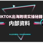TIKTOK跨境电商0-1运营全攻略：TK出海跨境实操秘籍（2023年10月最新版）-微七七网-是一个专注于全域获客|流量矩阵化打法的团队！