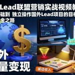 国外LEAD联盟营销实战视频教程：零基础速成到独立操作，带你开启海外淘金赚钱项目-微七七网-是一个专注于全域获客|流量矩阵化打法的团队！