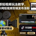 电影感短视频7天涨粉秘诀：外网搬运剪辑发布全攻略-微七七网-是一个专注于全域获客|流量矩阵化打法的团队！