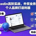 LinkedIn高阶实战秘籍：外贸业务开发与个人品牌打造终极攻略-微七七网-是一个专注于全域获客|流量矩阵化打法的团队！