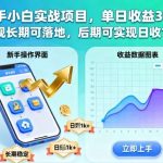 新手实战项目揭秘：单日收益300+正规可操作，长期稳定落地实现日入1K+攻略-微七七网-是一个专注于全域获客|流量矩阵化打法的团队！