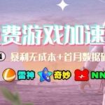 游戏加速器项目4.0全新打法攻略：边玩游戏边赚被动收益的终极技巧-微七七网-是一个专注于全域获客|流量矩阵化打法的团队！