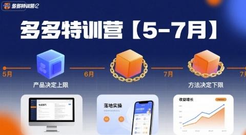 多多特训营实战精华：产品决定上限突破，方法锁定下限保障，最新玩法技巧落地实操全解析-微七七网-是一个专注于全域获客|流量矩阵化打法的团队！
