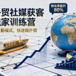 外贸社媒获客独家训练营：新模式实战秘籍，快速开启外贸爆单之路-微七七网-是一个专注于全域获客|流量矩阵化打法的团队！