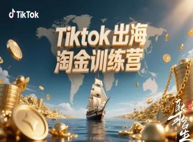 TikTok出海淘金实战训练营：跨境电商TK快速变现完整攻略-微七七网-是一个专注于全域获客|流量矩阵化打法的团队！