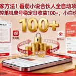 番茄小说合伙人全自动挂机项目实操揭秘：单机单号无风控日赚100+稳定收益，新手零基础入门指南-微七七网-是一个专注于全域获客|流量矩阵化打法的团队！