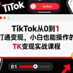 TK变现实战教程：零基础手把手教你TikTok从0到1赚钱，小白轻松上手的完整指南-微七七网-是一个专注于全域获客|流量矩阵化打法的团队！