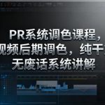 PR调色从入门到精通：视频后期系统课程，实战干货无废话讲解-微七七网-是一个专注于全域获客|流量矩阵化打法的团队！