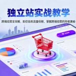 独立站跨境经营实战全攻略：揭秘告别流量依赖的终极奥义与技巧-微七七网-是一个专注于全域获客|流量矩阵化打法的团队！