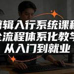 零基础到专业剪辑师：全流程体系化系统课程，从入门直达就业实战指南-微七七网-是一个专注于全域获客|流量矩阵化打法的团队！