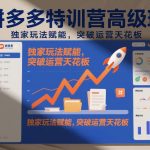 拼多多特训营高阶班：2026年2月独家玩法赋能实战，三步突破运营天花板秘籍-微七七网-是一个专注于全域获客|流量矩阵化打法的团队！