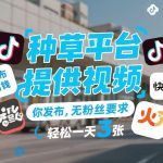 揭秘种草平台赚钱新招：提供视频素材，发布即收益，无粉丝要求轻松日入300+！-微七七网-是一个专注于全域获客|流量矩阵化打法的团队！