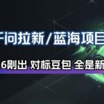 阿里豪掷30亿！千问拉新项目全拆解，立即入局承接财富盛宴-微七七网-是一个专注于全域获客|流量矩阵化打法的团队！