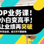 外贸TOP业务实战课：从新手到高手的业绩突破秘诀，让成交率倍增不再难-微七七网-是一个专注于全域获客|流量矩阵化打法的团队！