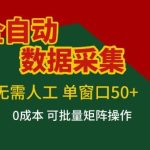 揭秘全自动数据采集项目：单人单窗日赚50+收益，零难度操作轻松构建盈利矩阵【独家指南】-微七七网-是一个专注于全域获客|流量矩阵化打法的团队！