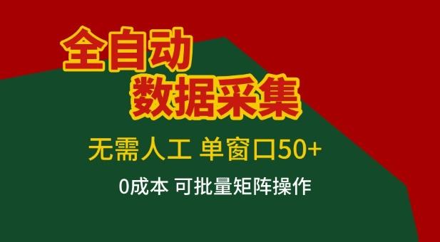 揭秘全自动数据采集项目：单人单窗日赚50+收益，零难度操作轻松构建盈利矩阵【独家指南】-微七七网-是一个专注于全域获客|流量矩阵化打法的团队！