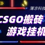 CSGO游戏搬砖新升级揭秘：小白手机日赚300+当天见效，真实验证！-微七七网-是一个专注于全域获客|流量矩阵化打法的团队！