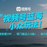 揭秘视频号蓝海小众玩法：零门槛日赚300+，原价399免费学，全年龄段轻松上手！-微七七网-是一个专注于全域获客|流量矩阵化打法的团队！